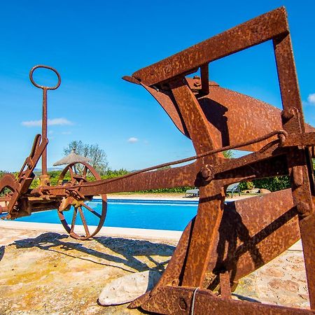 Agroturismo Petit Hotel Son Perdiu - Adults Only Са-Рапита Экстерьер фото