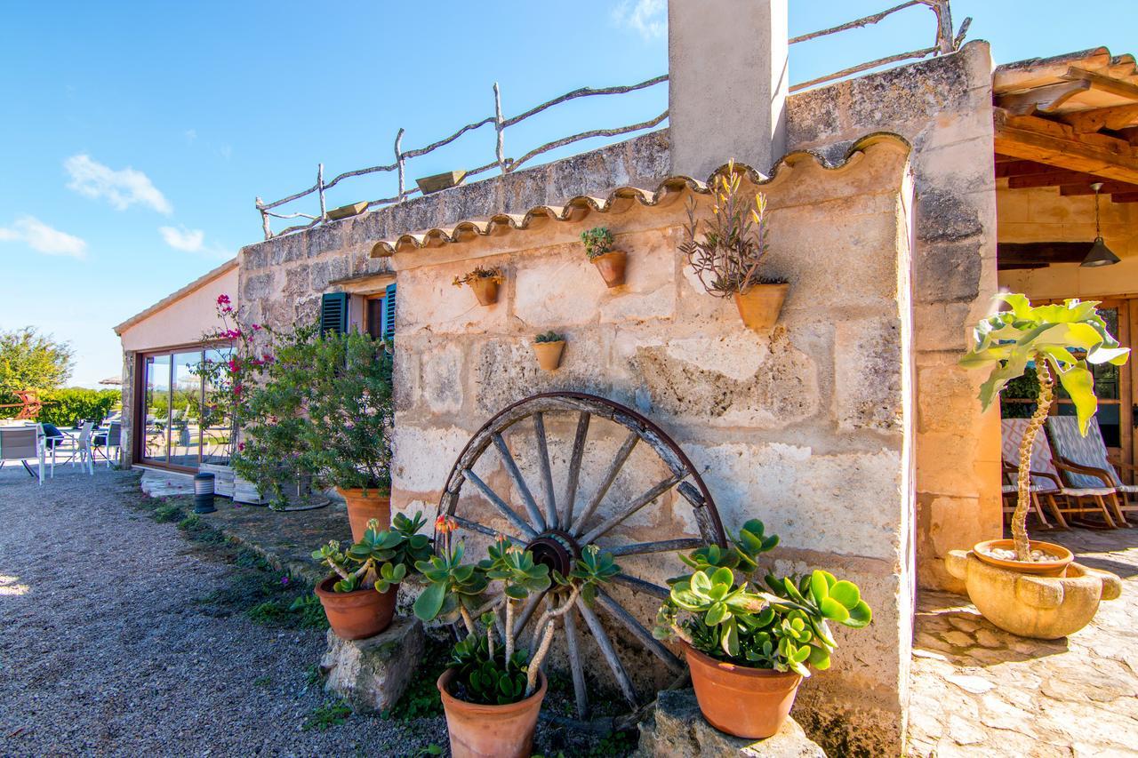 Agroturismo Petit Hotel Son Perdiu - Adults Only Са-Рапита Экстерьер фото